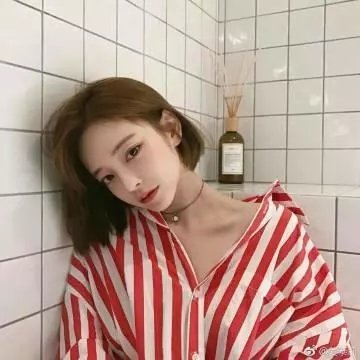 忍者收藏